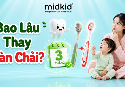 Bao lâu thay bàn chải cho bé? Cột mốc 3 tháng mẹ cần nhớ