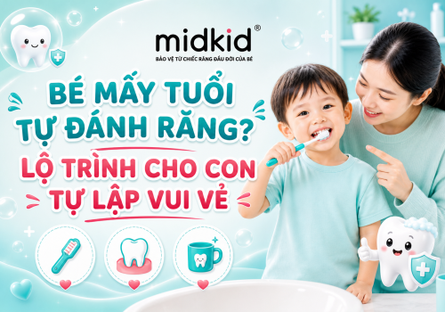 Bé Mấy Tuổi Tự Đánh Răng? Lộ Trình Cho Con Tự Lập Vui Vẻ