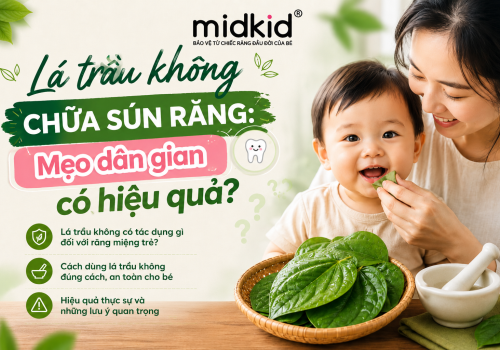 Lá trầu không chữa sún răng: Mẹo dân gian có hiệu quả?