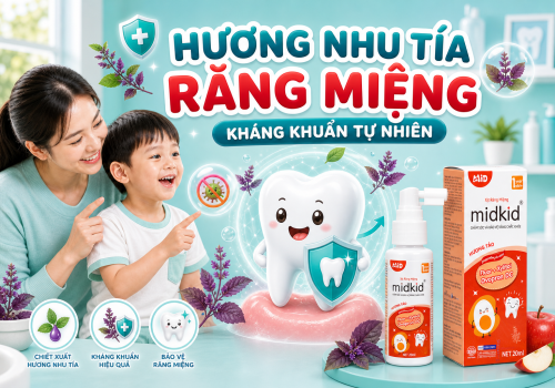 Tinh Dầu Hương Nhu Tía Răng Miệng: Kháng Khuẩn Tự Nhiên