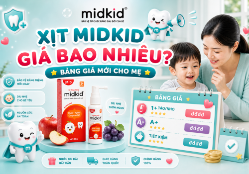Xịt Midkid giá bao nhiêu? Bảng giá chuẩn 2026