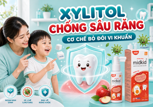 Xylitol Chống Sâu Răng: Cơ Chế & Vai Trò Thật Sự | Midkid