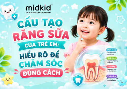 Cấu Tạo Răng Sữa Của Trẻ Em: 4 Lớp Mẹ Cần Biết Để Chăm Sóc Đúng Cách