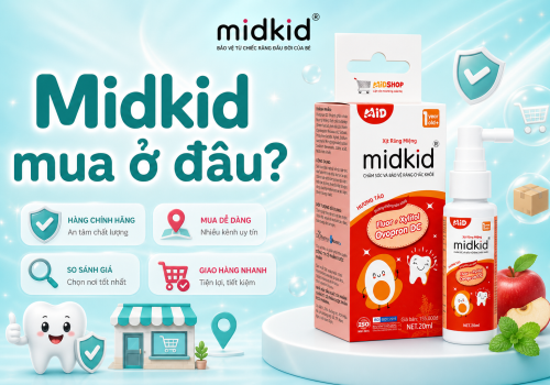 Midkid mua ở đâu: Top địa chỉ bán hàng chính hãng uy tín