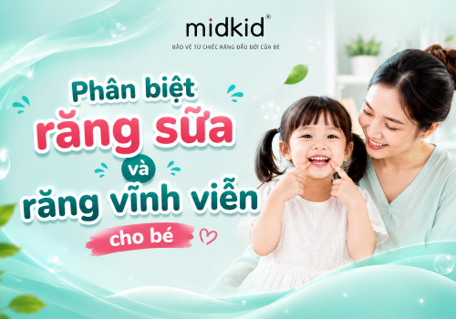 Cách phân biệt răng sữa và răng vĩnh viễn chuẩn xác nhất
