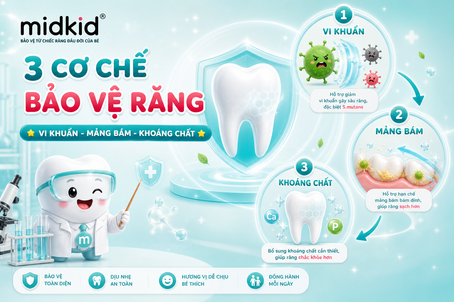 02-3-co-che-bao-ve-rang