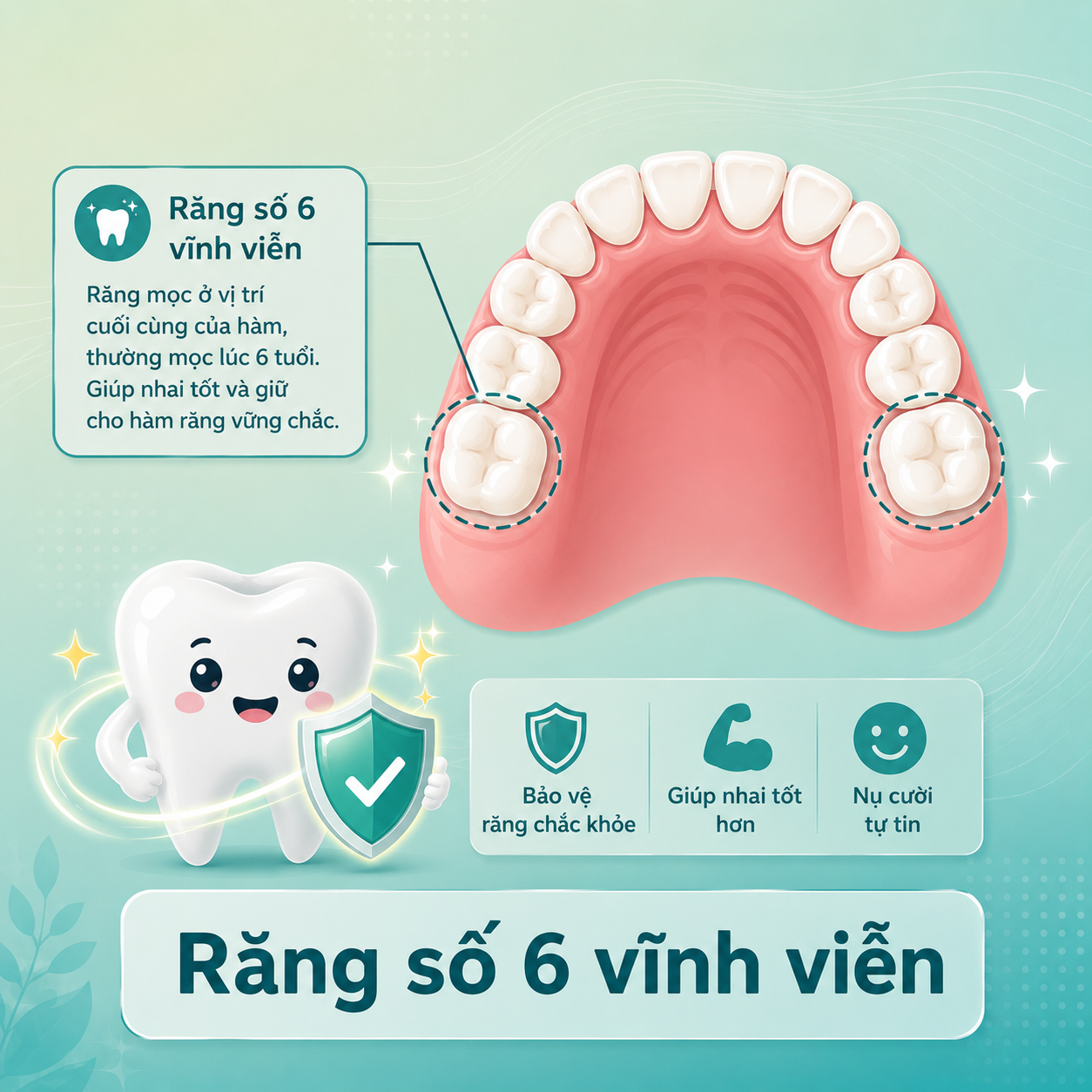 ban-chat-sinh-ly-rang-so-6-vinh-vien
