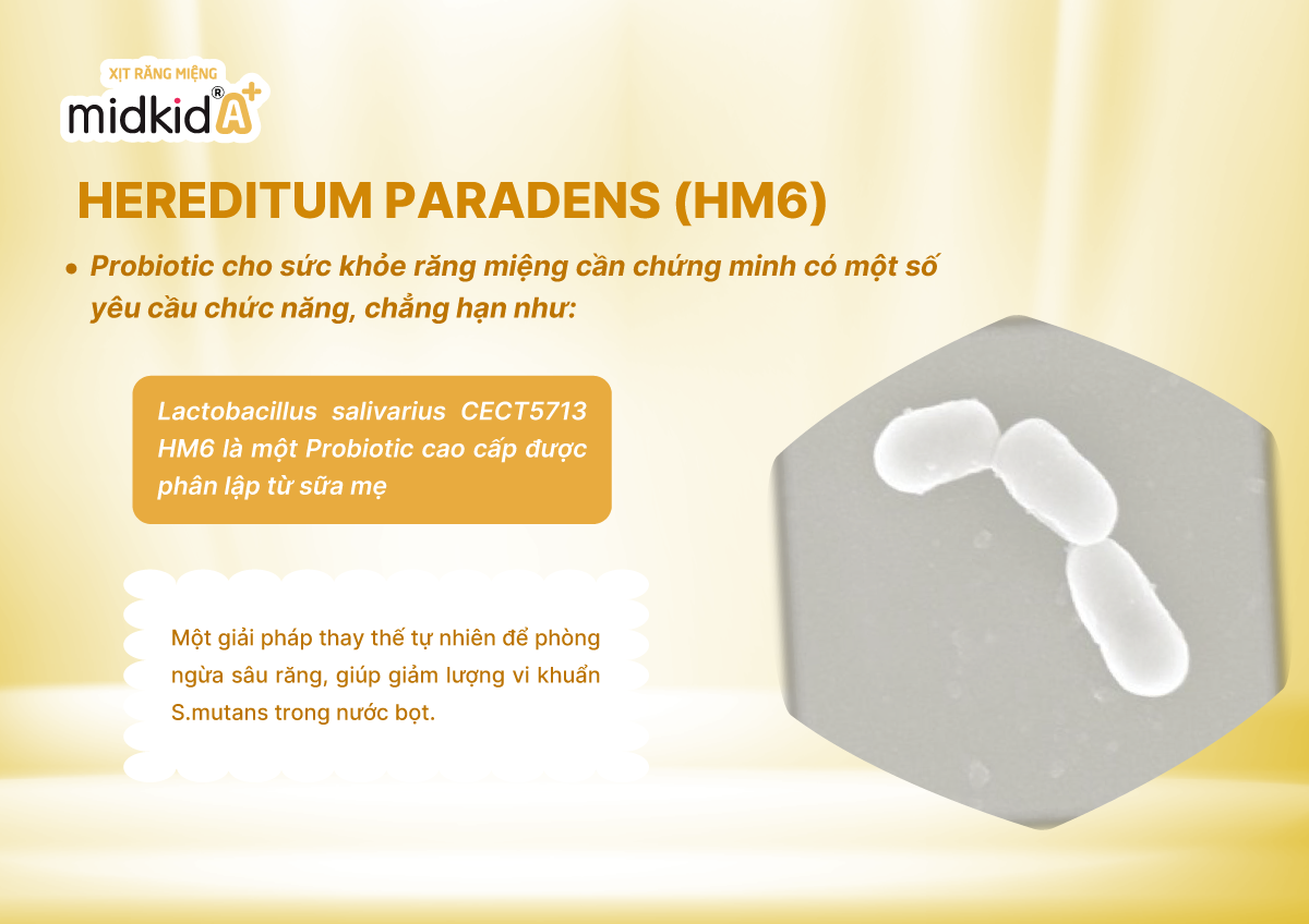 lợi khuẩn HM6 Hereditum Paradens phân lập từ sữa mẹ trong xịt Midkid A+