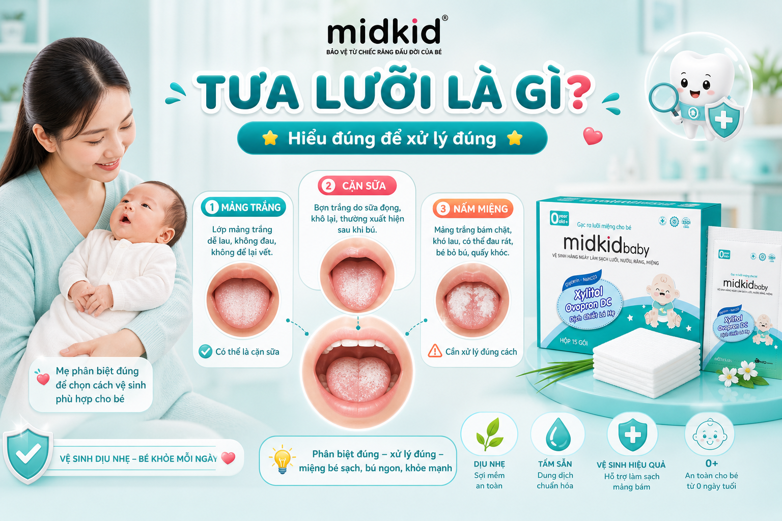 tua-luoi-la-gi